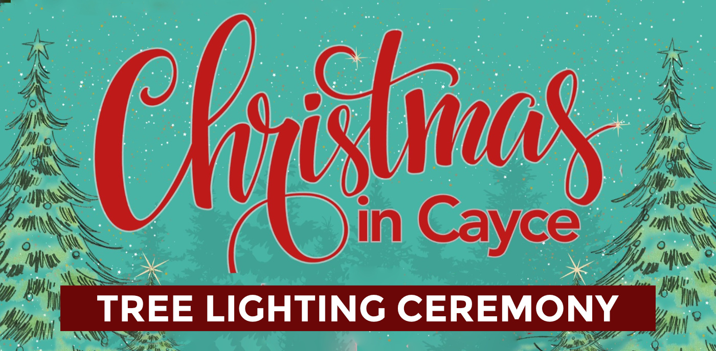 Christmas Tree Lighting